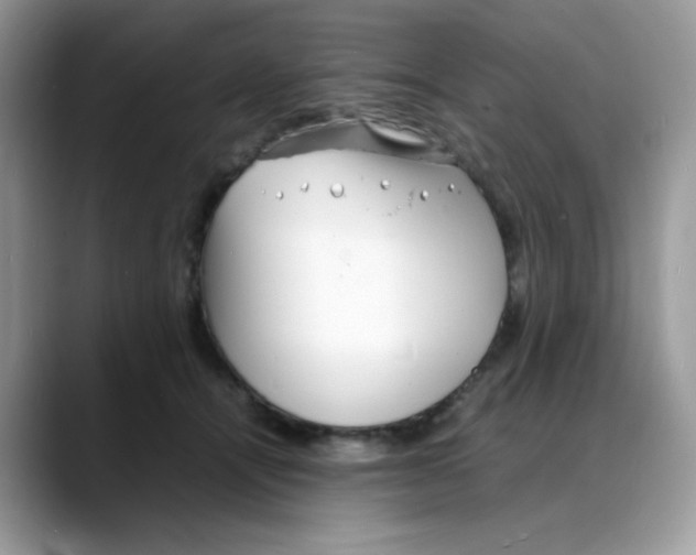 X0000088130464200706111410