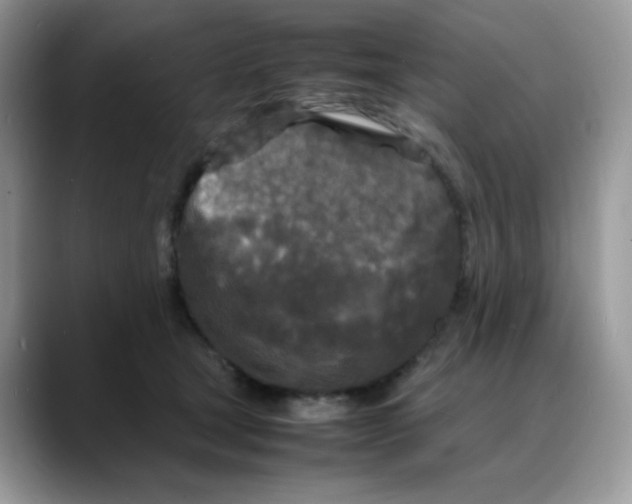 X0000088130465200706111410