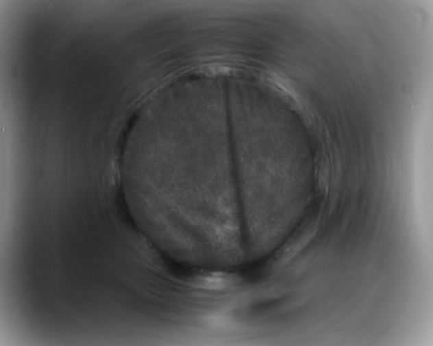 X0000088130467200706111410