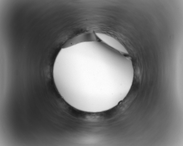 X0000088130470200706111410