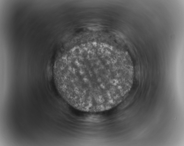 X0000088130471200706111410