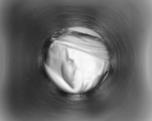 X0000088130473200706111410