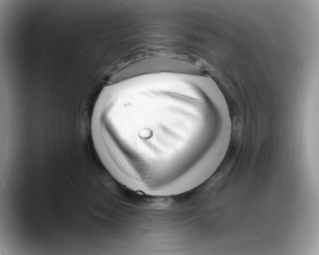 X0000088130474200706111410