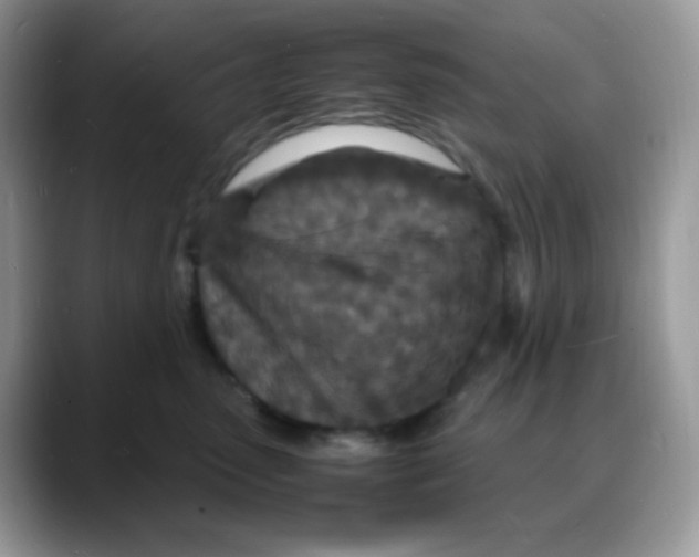 X0000088130475200706111410