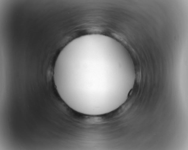 X0000088130476200706111410