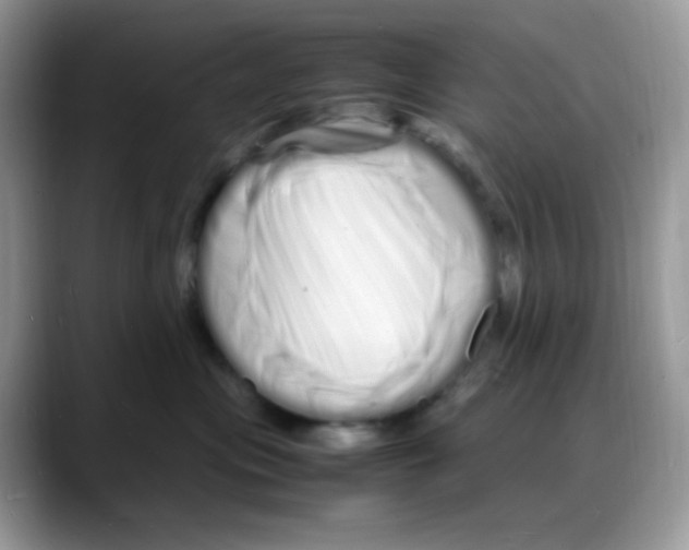 X0000088130477200706111410