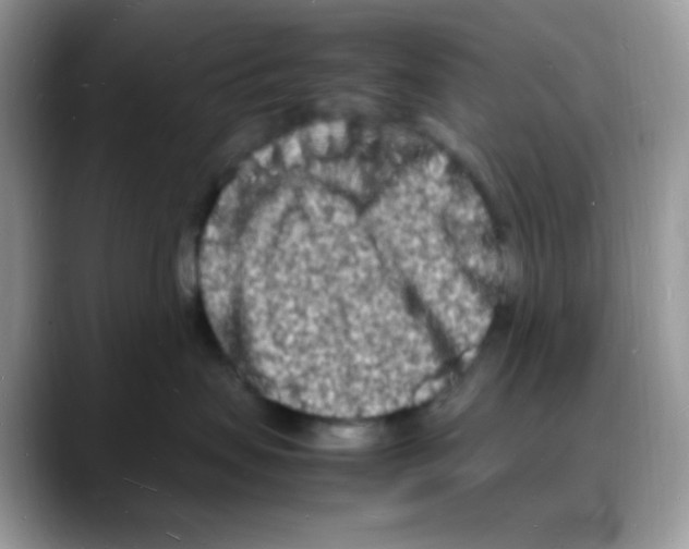 X0000088130479200706111410