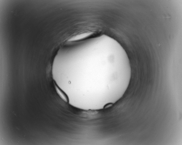 X0000088130480200706111410