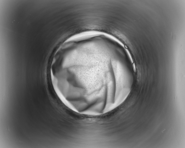 X0000088130482200706111410