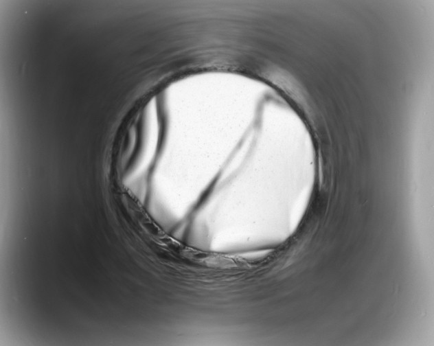 X0000088130483200706111410