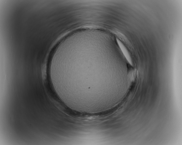 X0000088130484200706111410