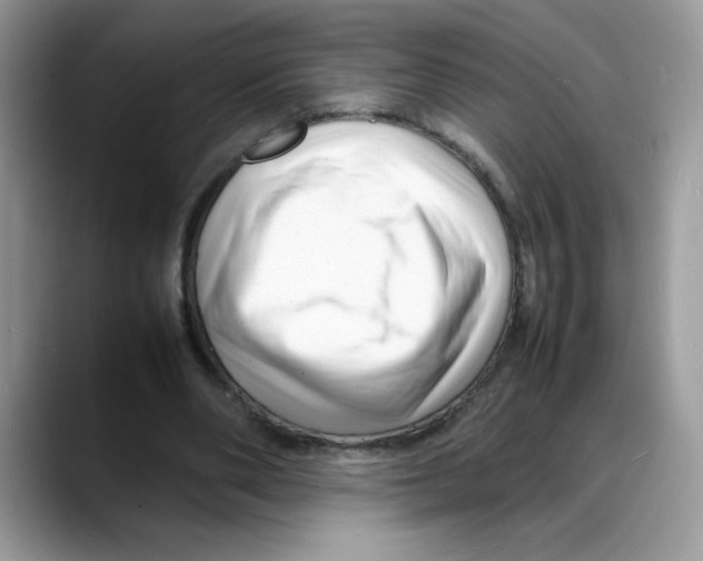 X0000088130486200706111410