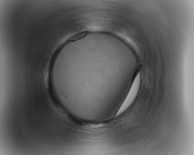 X0000088130488200706111410