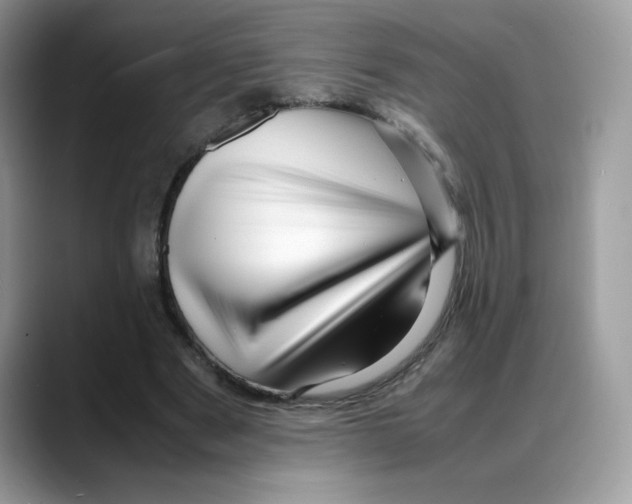 X0000088130489200706111410