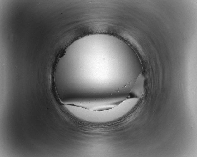 X0000088130493200706111410