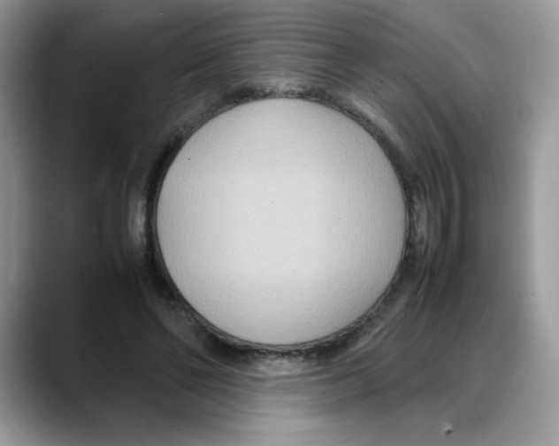 X0000088130494200706111410