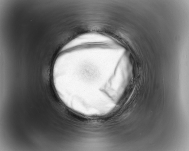 X0000088130495200706111410