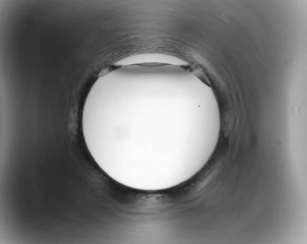 X0000088130497200706111410