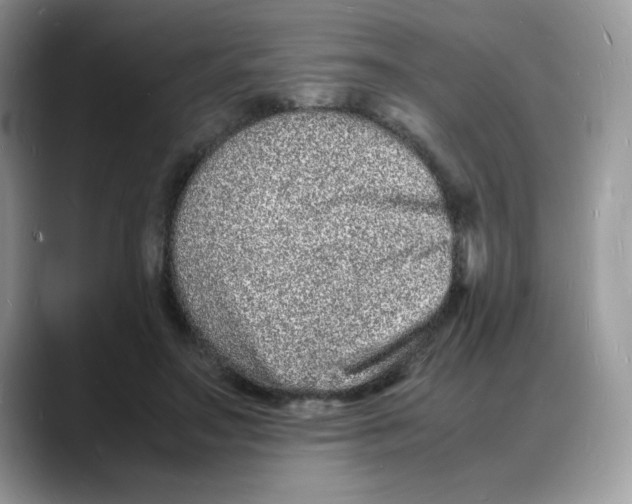 X0000088130499200706111410