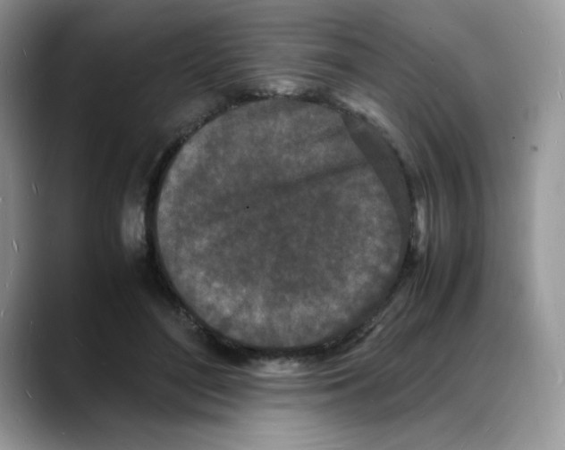 X0000088130500200706111410