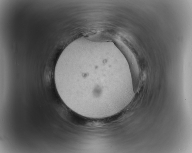 X0000088130503200706111410