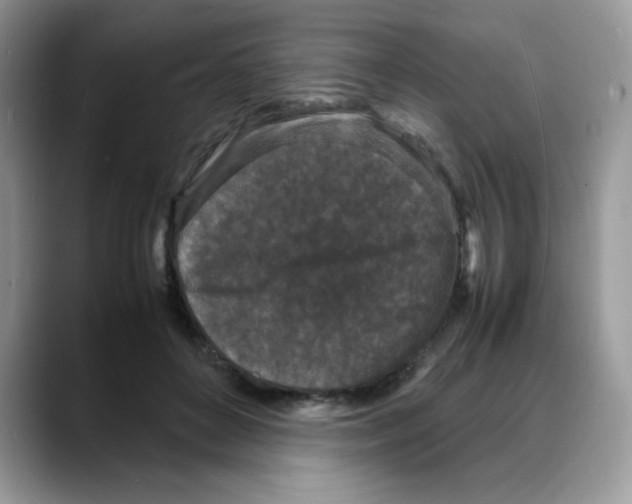 X0000088130504200706111410