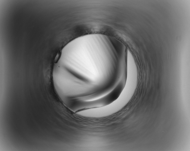 X0000088130509200706111410