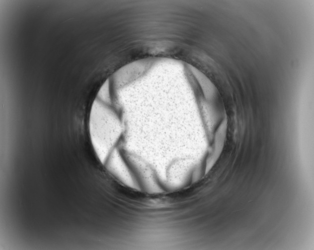 X0000088130510200706111410