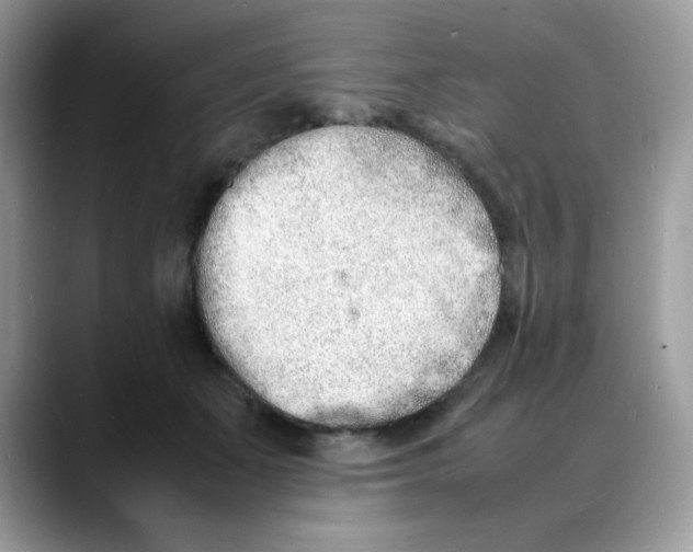 X0000088130511200706111410