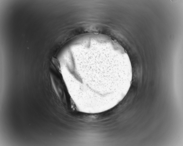 X0000088130513200706111410