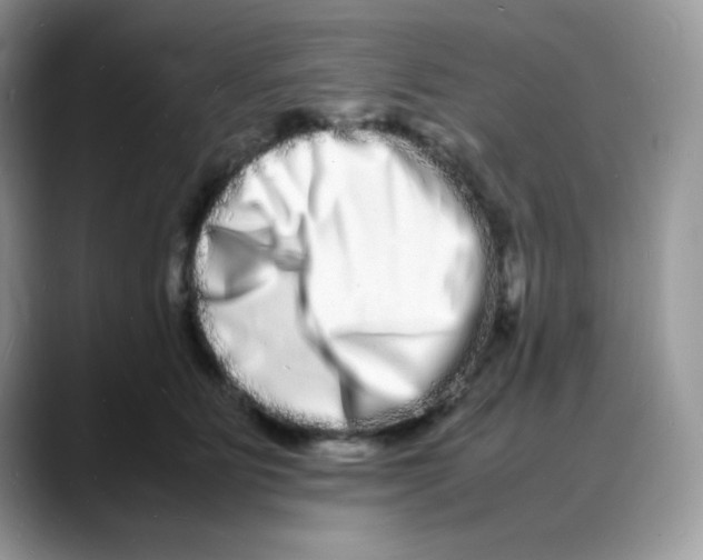 X0000088130515200706111409