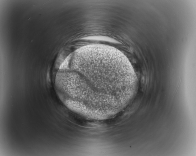 X0000088130516200706111409