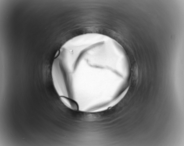 X0000088130522200706111409