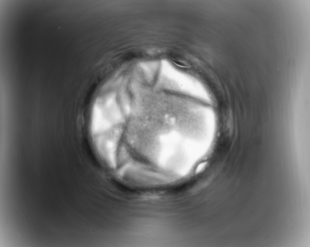 X0000088130523200706111409