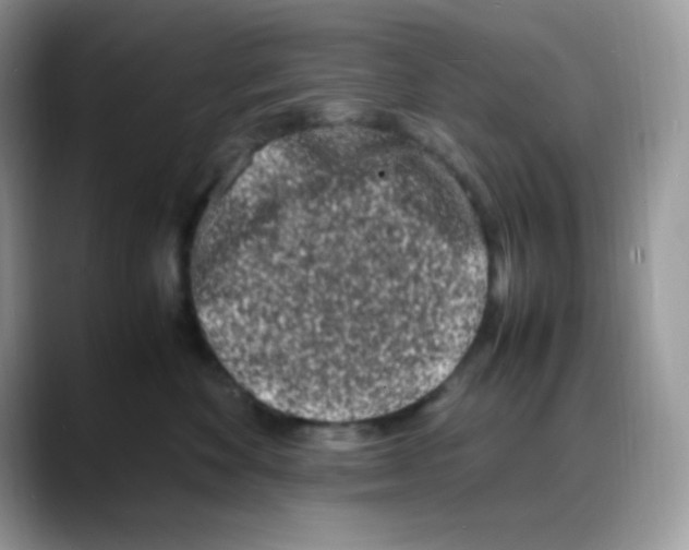 X0000088130524200706111409