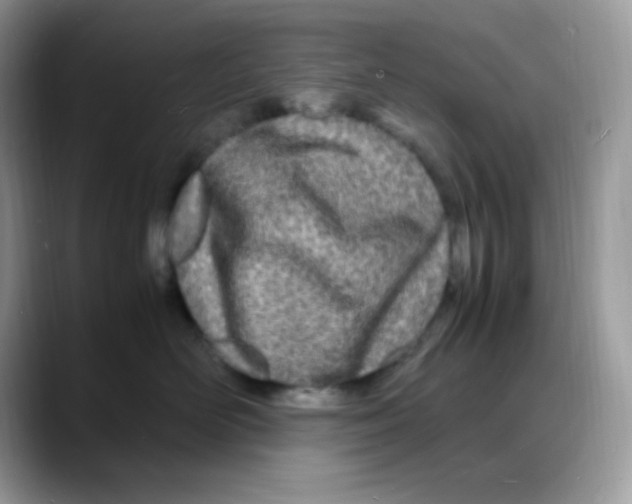 X0000088130526200706111409