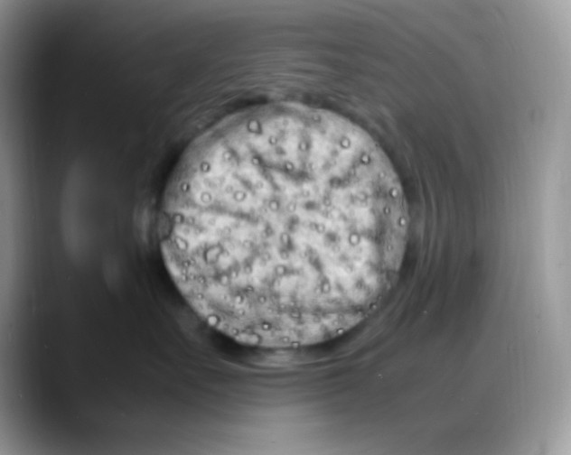 X0000088130527200706111409