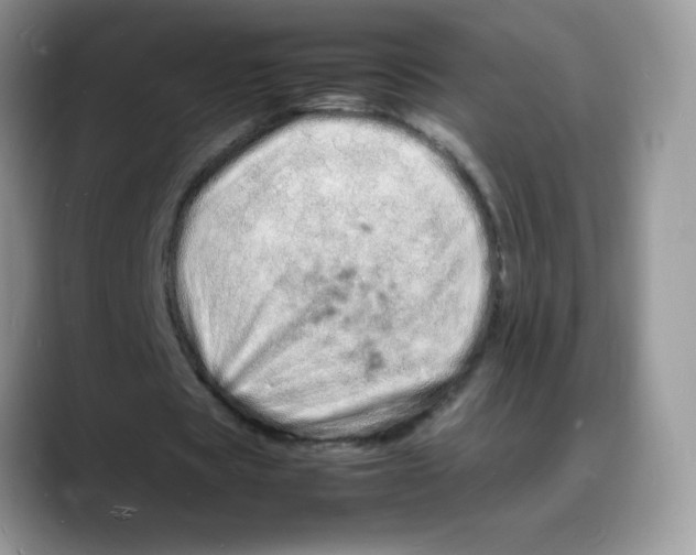 X0000088130529200706111409