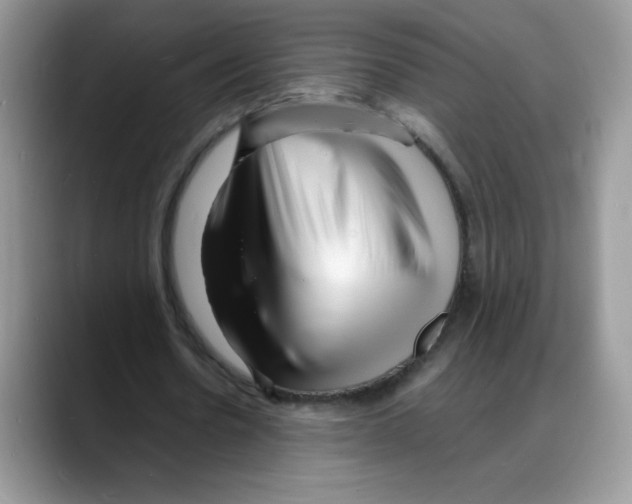 X0000088130530200706111409