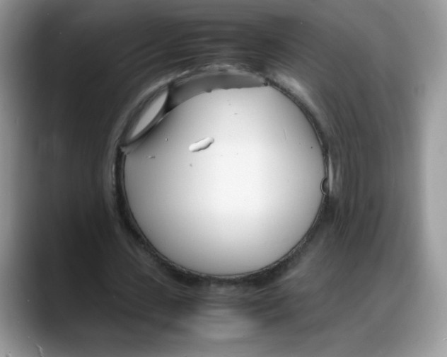 X0000088130531200706111409