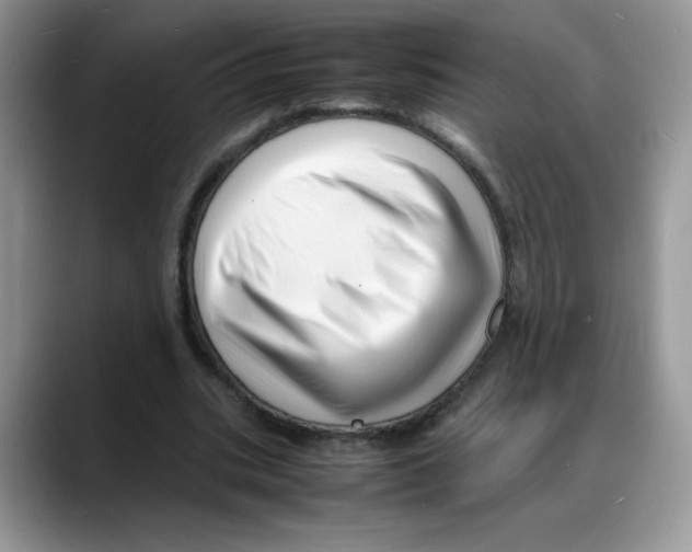 X0000088130535200706111409