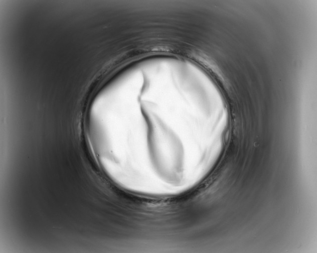 X0000088130537200706111409