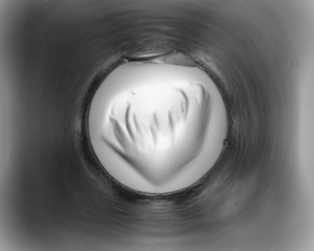 X0000088130539200706111409