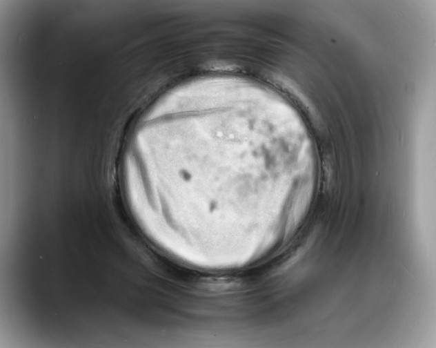 X0000088130541200706111409