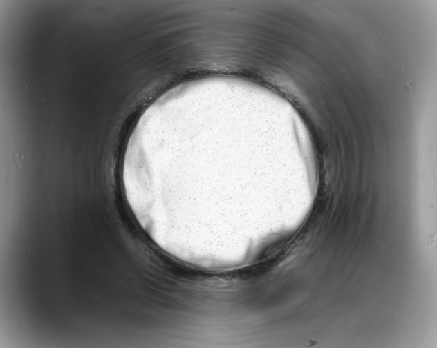 X0000088130542200706111409