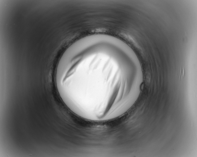 X0000088130543200706111409