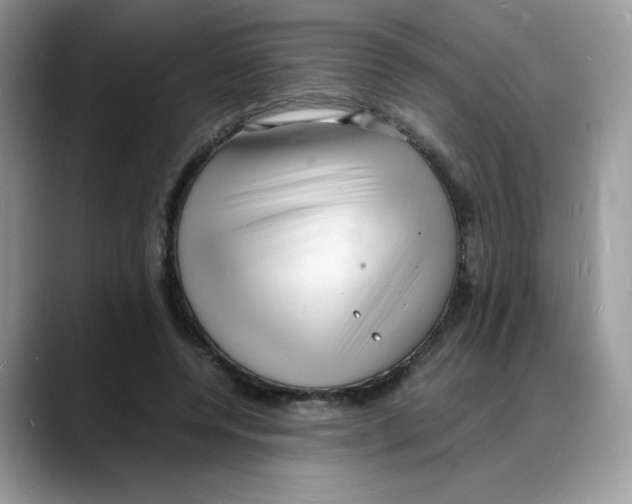 X0000088130544200706111409