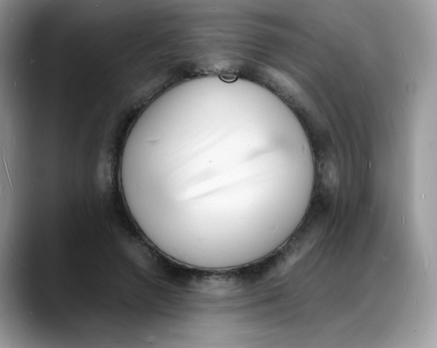 X0000088130546200706111409