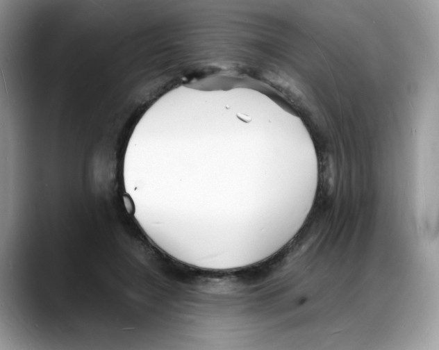 X0000088130548200706111409