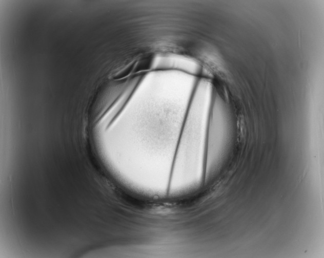 X0000088130550200706111409